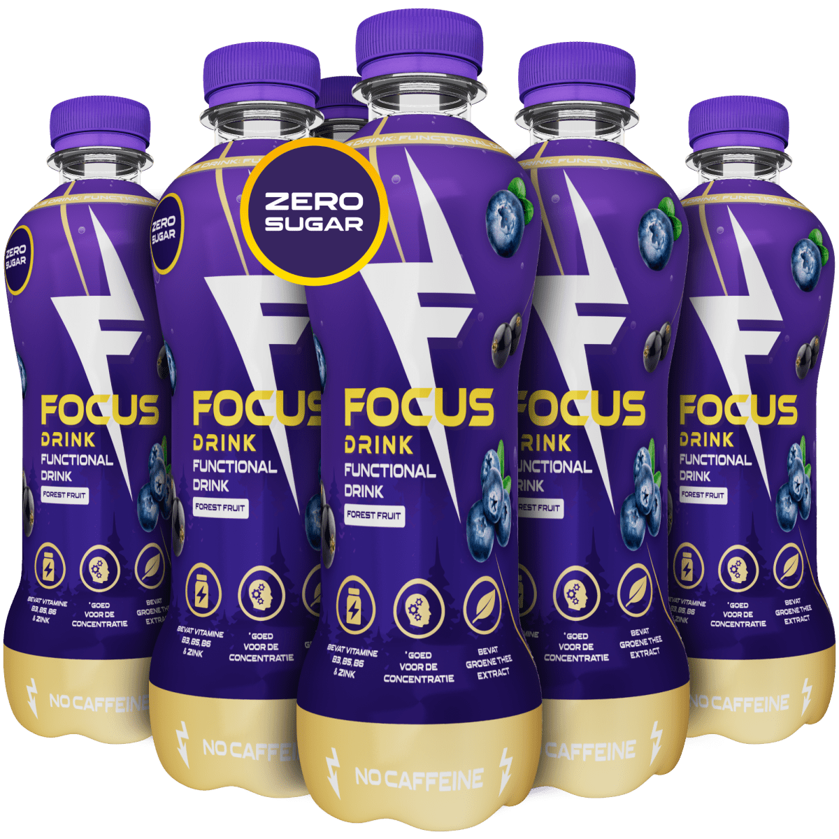 Forest Fruit - Focus Drink®